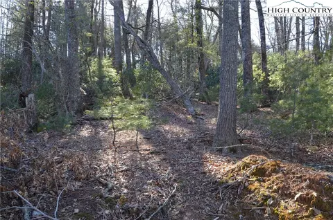 tbd Greenhouse Rd, Roaring Gap, NC 28668 photo 2