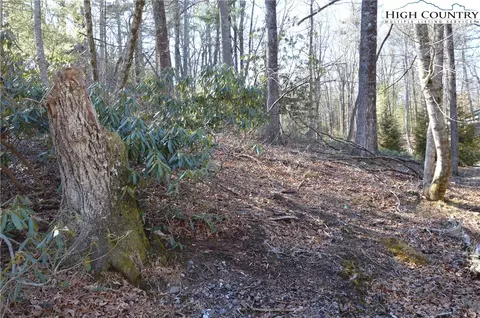 tbd Greenhouse Rd, Roaring Gap, NC 28668 photo 5