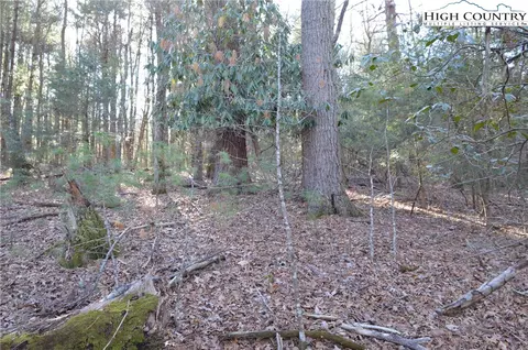 tbd Greenhouse Rd, Roaring Gap, NC 28668 photo 15