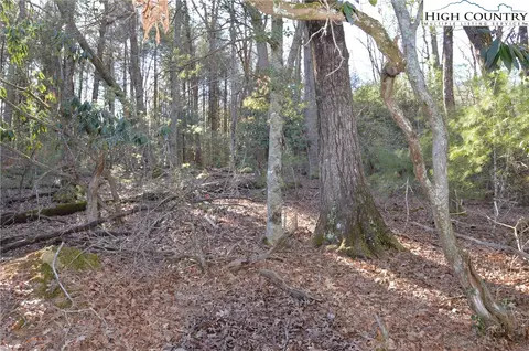 tbd Greenhouse Rd, Roaring Gap, NC 28668 photo 10