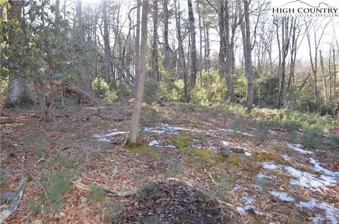 tbd Greenhouse Rd, Roaring Gap, NC 28668 photo 6