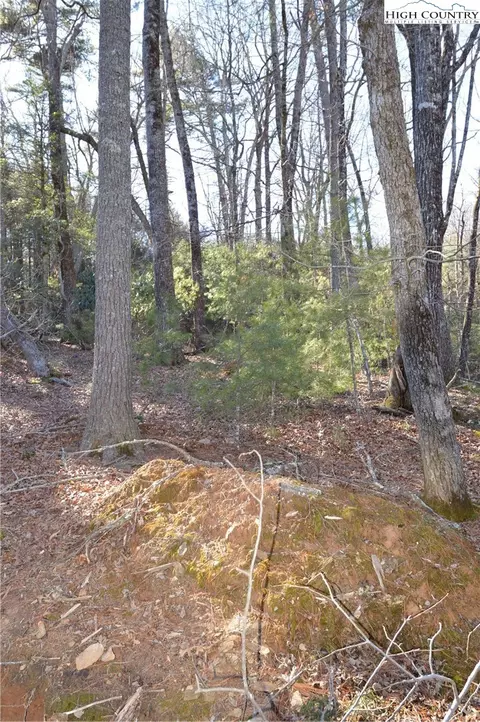 tbd Greenhouse Rd, Roaring Gap, NC 28668 photo 8