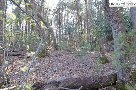 tbd Greenhouse Rd, Roaring Gap, NC 28668