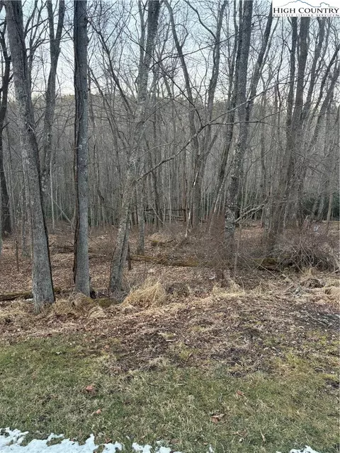 tbd 3-d Silo Rd, Sparta, NC 28675 photo 3