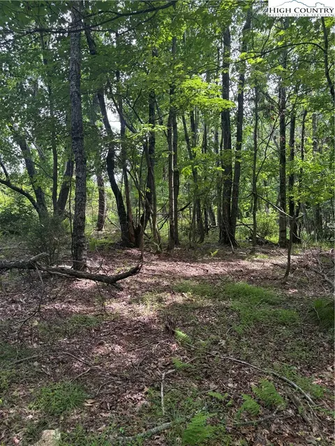 tbd Fairfield Dr, Sparta, NC 28675 photo 5