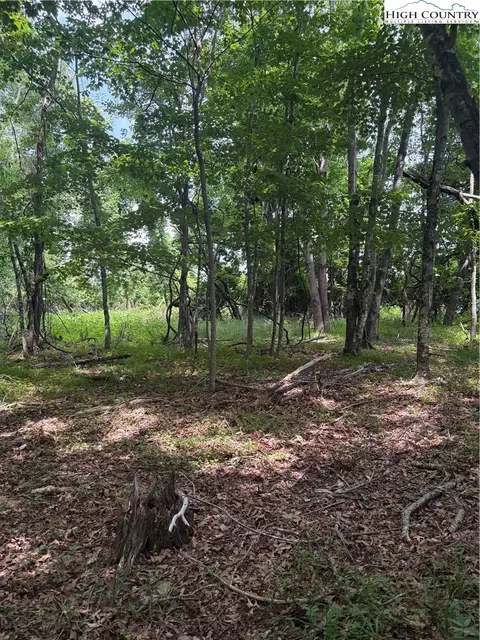 tbd Fairfield Dr, Sparta, NC 28675 photo 3
