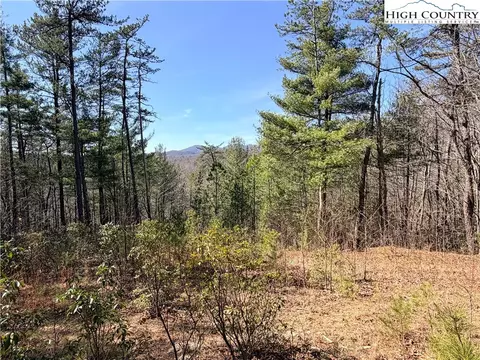 tbd Hidden Creek Rd, Deep Gap, NC 28618 photo 2