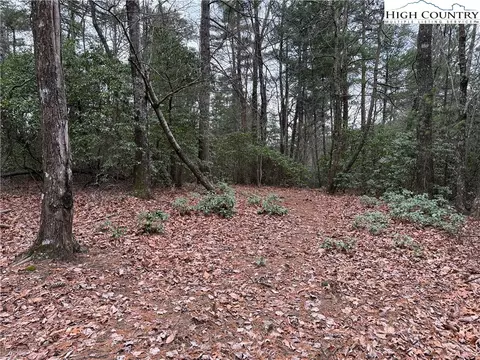 lot82 Deer Antler Dr, Purlear, NC 28665 photo 2