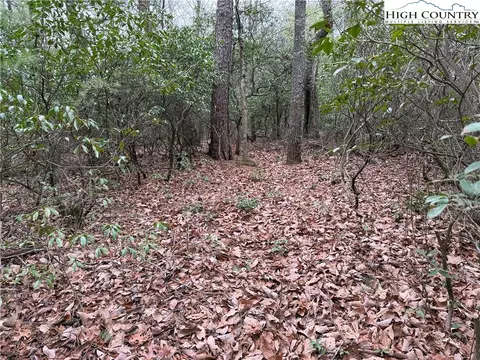 lot82 Deer Antler Dr, Purlear, NC 28665 photo 12