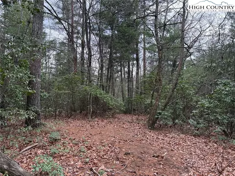 lot82 Deer Antler Dr, Purlear, NC 28665 photo 8