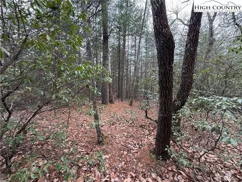 lot82 Deer Antler Dr, Purlear, NC 28665 photo 6
