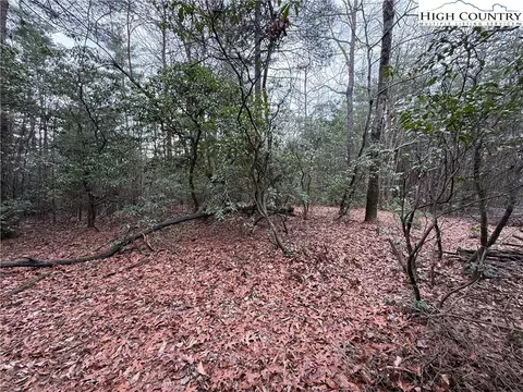 lot82 Deer Antler Dr, Purlear, NC 28665 photo 13