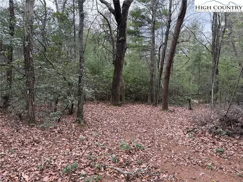 lot82 Deer Antler Dr, Purlear, NC 28665 photo 5