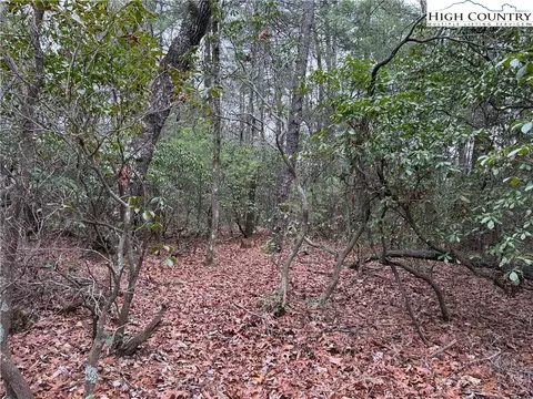 lot82 Deer Antler Dr, Purlear, NC 28665 photo 9