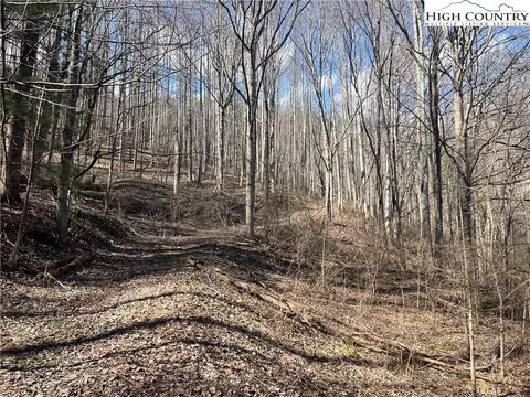 tbd Hart Rd, Lansing, NC 28643 photo 5