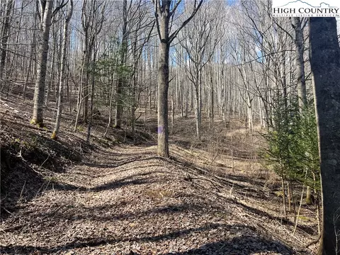 tbd Hart Rd, Lansing, NC 28643 photo 4