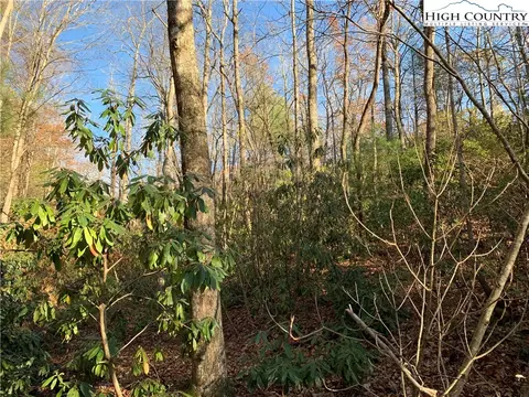 tbd Dugger Firetower Rd, Lenoir, NC 28645 photo 8