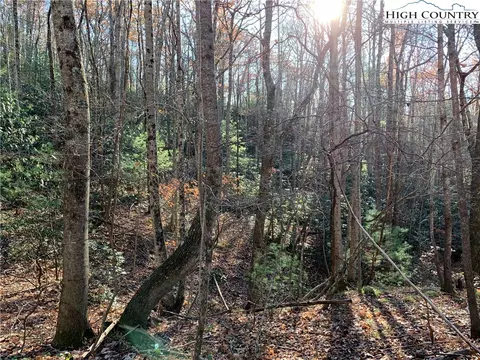 tbd Dugger Firetower Rd, Lenoir, NC 28645 photo 6