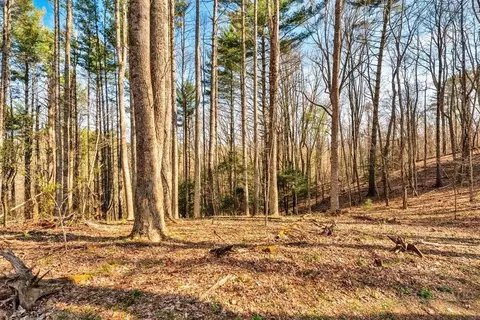 tbd Private Dr, Sugar Grove, NC 28679