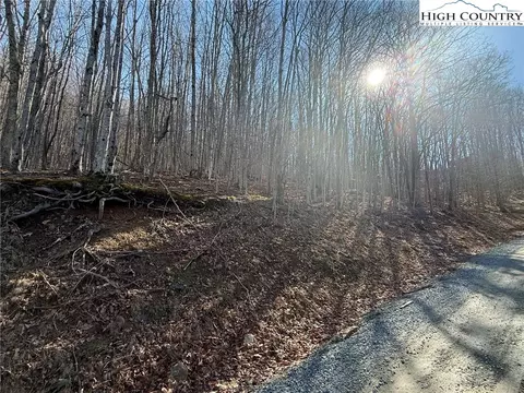 134 Locust Ridge Rd, Beech Mountain, NC 28604 photo 3