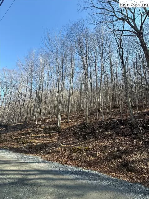 134 Locust Ridge Rd, Beech Mountain, NC 28604 photo 2