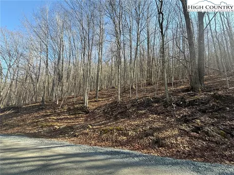 134 Locust Ridge Rd, Beech Mountain, NC 28604