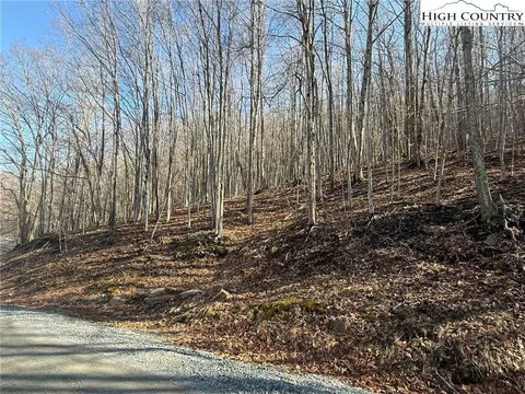 134 Locust Ridge Rd, Beech Mountain, NC 28604 photo 5