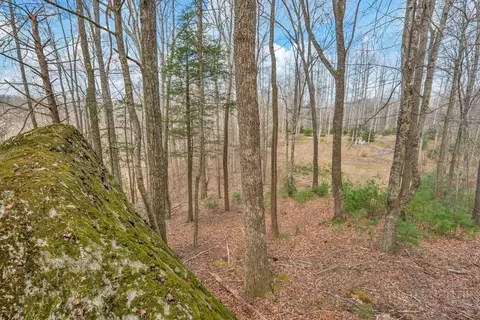 tbd Denney Wood Rd, Sugar Grove, NC 28679