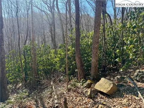 0 Gumtree Rd, Beech Mountain, NC 28604 photo 4