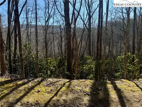 0 Gumtree Rd, Beech Mountain, NC 28604