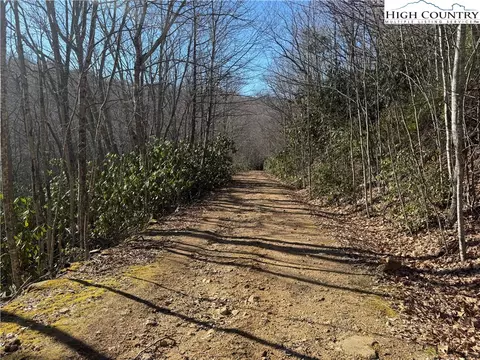 0 Gumtree Rd, Beech Mountain, NC 28604 photo 6
