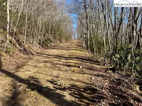0 Gumtree Rd, Beech Mountain, NC 28604 photo 5