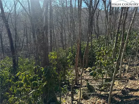 0 Gumtree Rd, Beech Mountain, NC 28604 photo 3