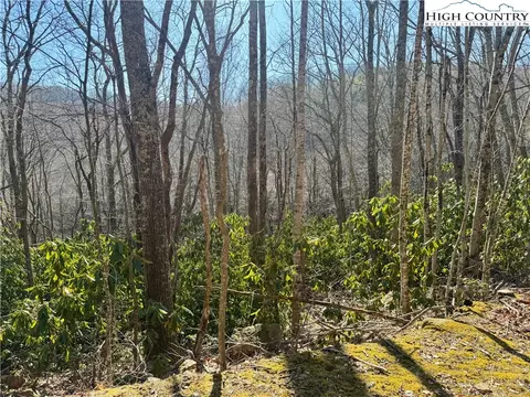 0 Gumtree Rd, Beech Mountain, NC 28604 photo 2