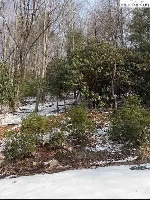301 Jackpine Rd, Beech Mountain, NC 28604