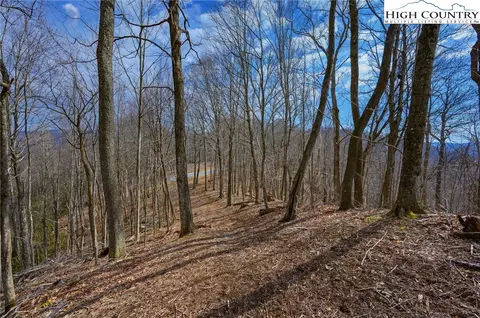 tbd Raspberry Ln, Elk Park, NC 28622 photo 5