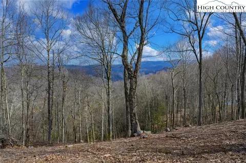 tbd Raspberry Ln, Elk Park, NC 28622 photo 6