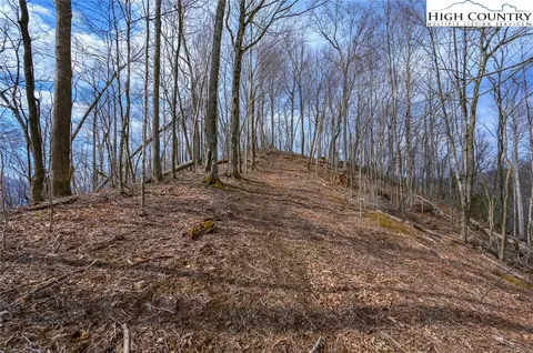tbd Raspberry Ln, Elk Park, NC 28622 photo 7