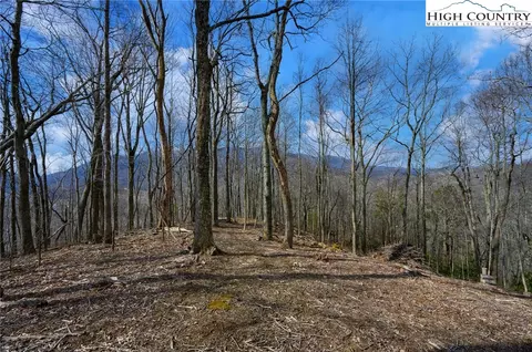 tbd Raspberry Ln, Elk Park, NC 28622 photo 2