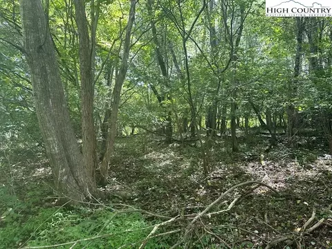 lot41 Riverwind Dr, Lansing, NC 28643 photo 4