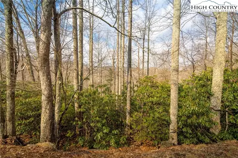 1122 Pine Ridge Rd, Beech Mountain, NC 28604 photo 34