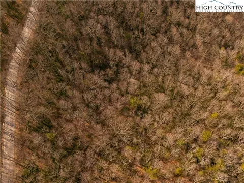 1122 Pine Ridge Rd, Beech Mountain, NC 28604 photo 17