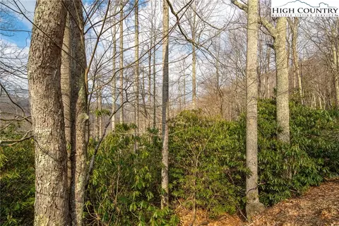 1122 Pine Ridge Rd, Beech Mountain, NC 28604 photo 38