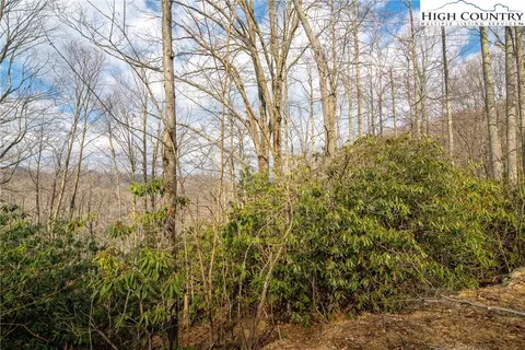 1122 Pine Ridge Rd, Beech Mountain, NC 28604 photo 36