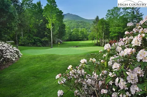 346 Wren Way, Banner Elk, NC 28604 photo 8