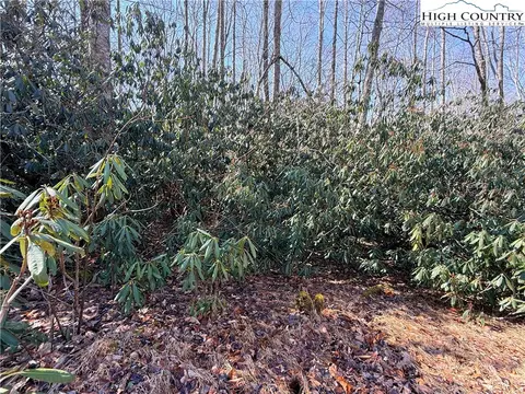 545 Pinnacle Ridge Rd, Beech Mountain, NC 28604 photo 3