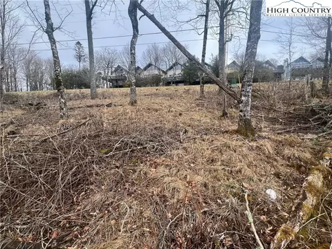 116 N Pinnacle Ridge Dr, Beech Mountain, NC 28604 photo 5