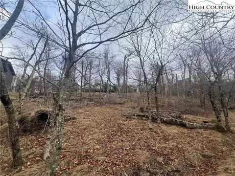 116 N Pinnacle Ridge Dr, Beech Mountain, NC 28604 photo 6