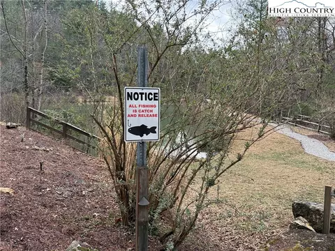 lot227 Deer Run Rd, Purlear, NC 28665 photo 32