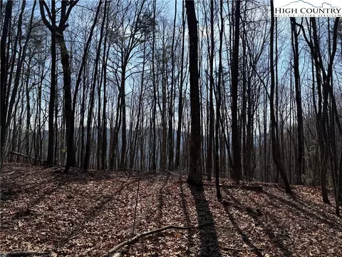 lot227 Deer Run Rd, Purlear, NC 28665 photo 2